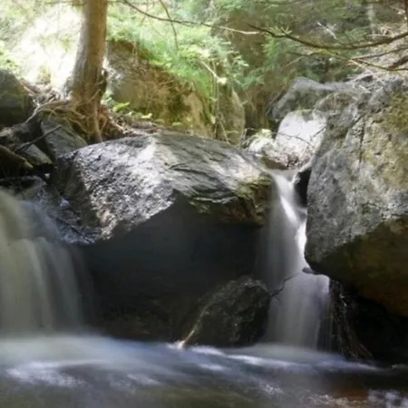 Σπίτι διακοπών Dr. Mueller