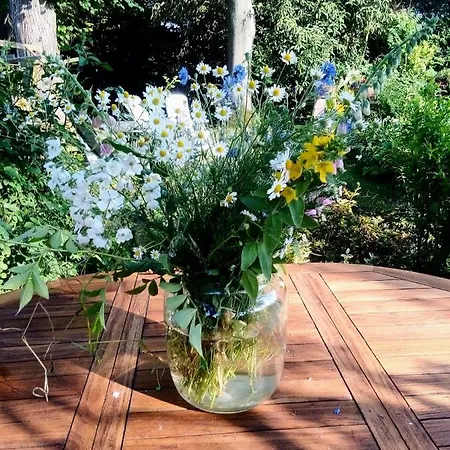 Dr. Müller Ferienhaus Meißen