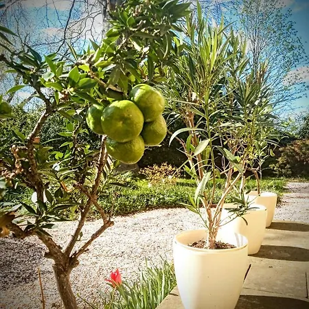 Dr. Mueller Prázdninový dům Meißen