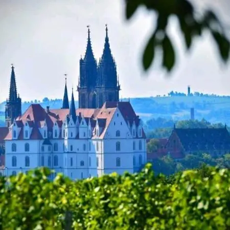 Dr. Mueller Prázdninový dům