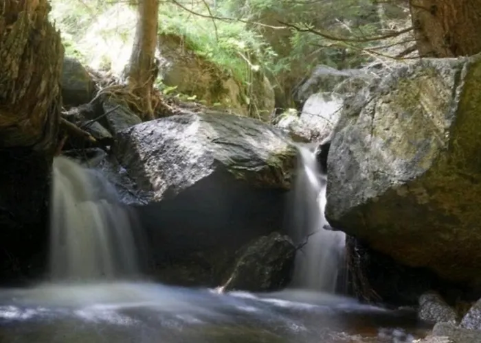 Nyaraló Dr. Mueller