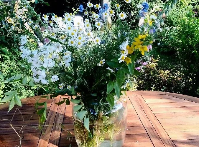 Dr. Mueller Nyaraló Meißen