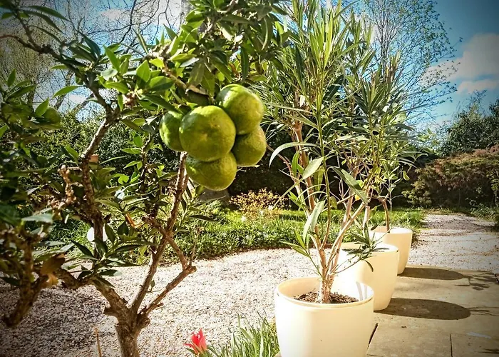 Dr. Mueller Nyaraló Meißen